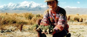 foto di un coltivatore di maca peruviana